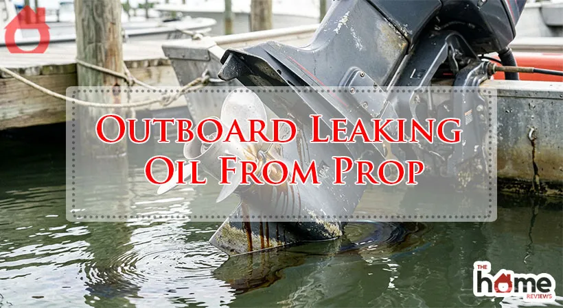 Outboard Leaking Oil From Prop