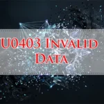 U0403 Invalid Data